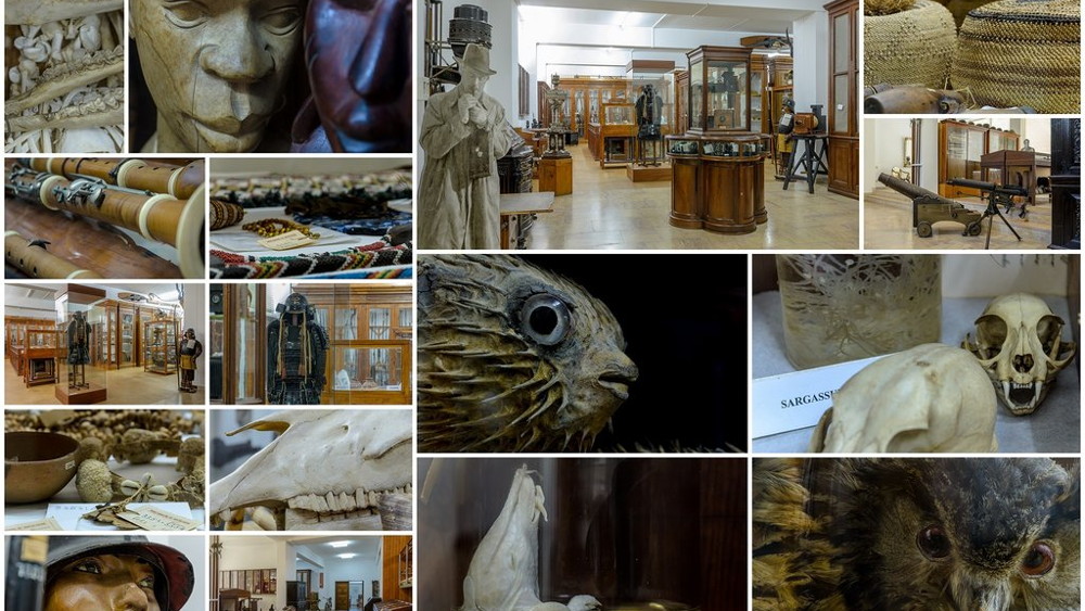 Coleções do Museu Municipal Santos Rocha integram projeto de investigação nacional